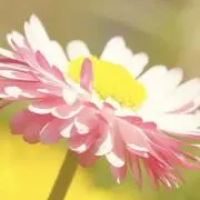 puni ✿︎の画像