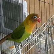 まさまさの画像