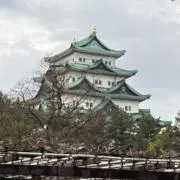 MORUの画像