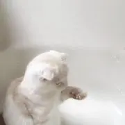 ❤︎