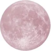 ☪︎ 〜6月大幅処分/随時値下げ〜の画像