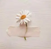 erikaの画像