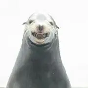 みのの画像