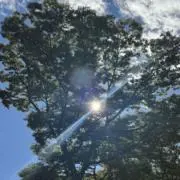 ユンスルの画像