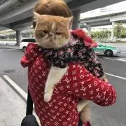 ま。の画像