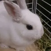 やすみん