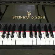 wanko pianoforteの画像