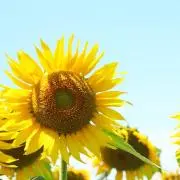 ma._.maの画像