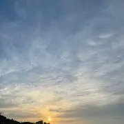 YoShiの画像