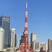 マーキュリー14