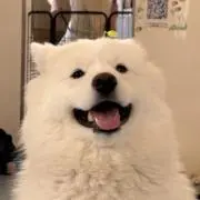 エドjiriの画像
