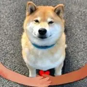 昭子 ペコ