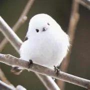 とける