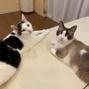 ナナ美♡プロフ必須⚠️の画像