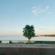髙橋まなみの画像