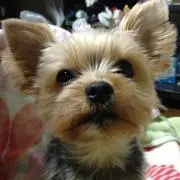 Hiro