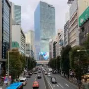 チュッチュネの画像