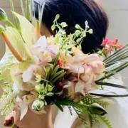 andoの画像