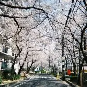 澪