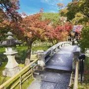 yuuの画像