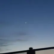 うにゅの画像