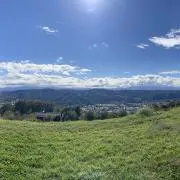 ritの画像