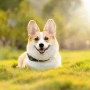 えっすー　即購入大歓迎！の画像