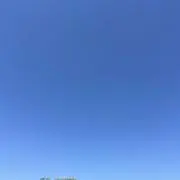 ロビンの画像