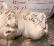 たねちゃんの画像