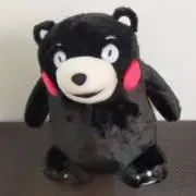 ゆーりの画像