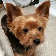 きゃず☆の画像