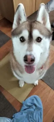 mia