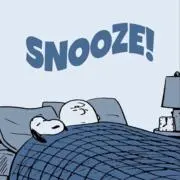 snoozeの画像