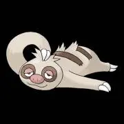 ナマケモノの画像