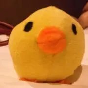 ぬの画像