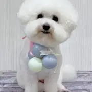 みなみ