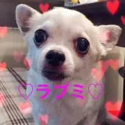ラブミ♡（プロフご一読ください）