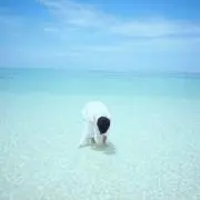 ff＊プロフ必読＊の画像