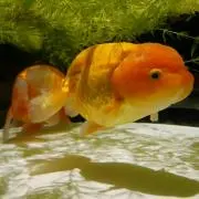 そら