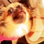 やまさん