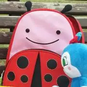 かんなの画像
