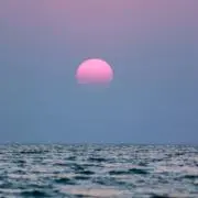 AZの画像