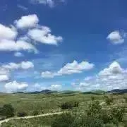 HANAの画像