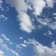 yn.