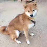神の画像