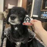 ユア