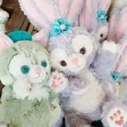 まぬるねこの画像