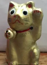 nahifumin