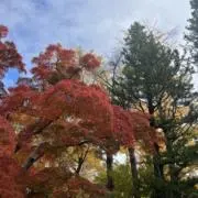 パ