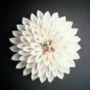 綾桜の画像